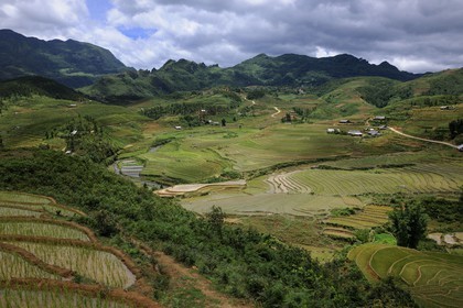 Vietnam, Lao Cai province, Sapa district, Ta Phin valley,  rice plantations in terraces by the Black Hmong minority group