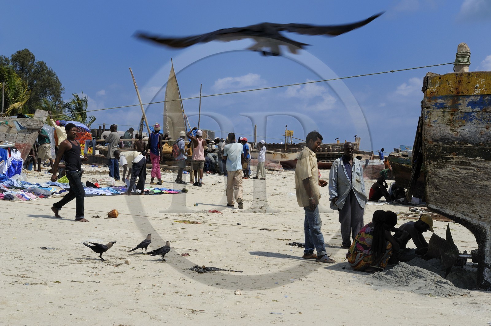 Tanzania, Dar es-Salaam, intense activity of repairing hulls and nets on the beach serving the Kivukoni fish market Tanzania, Dar es-Salaam, intense activity of repairing hulls and nets on the beach serving the Kivukoni fish market