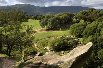 France, Corse du Sud, prehistoric site of Filitosa, 5 arcuate menhirs statues