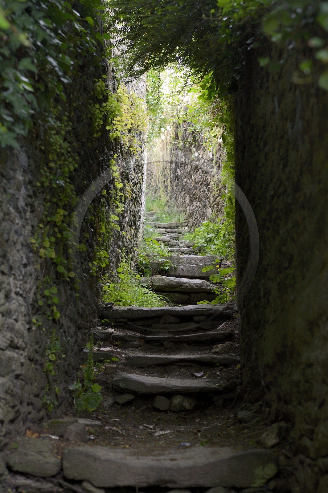 France, Finistère (29), Morlaix,  venelle de la Roche donnant sur la rue Courte