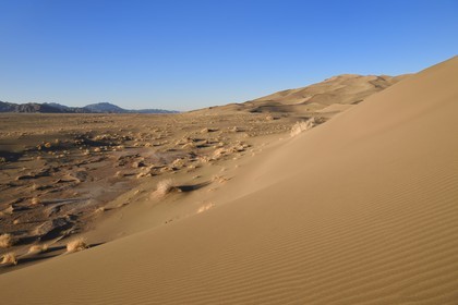 Iran, Province de Yazd, désert du Dasht-e Kavir, Moghestan, massif dunaire dont la plus haute dune atteint les 200 mètres