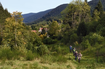 France, Vosges (88), Le Valtin, randonnée dans la vallée du Valtin dans la haute-vallée de la Meurthe sur le sentier des panoramas du Valtin