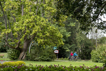 France, Yonne, Auxerre, Arbre Sec landscaped park