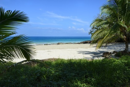 Panama, Pearl Islands, Isla Viveros, white sand beach