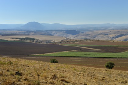 Israel, Northern District, Lower Galilee, Kochav ha-Yarden Nature Reserve and the Mount Tabor in the background