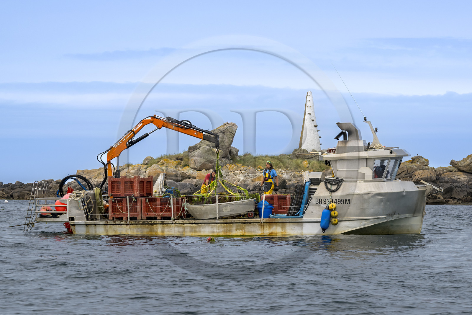 France, Finistère (29), Pays des Abers, estuaire de l'Aber Wrac'h, France haliotis élève des ormeaux en pleine mer et les nourrit exclusivement avec des algues récoltées localement à la main
