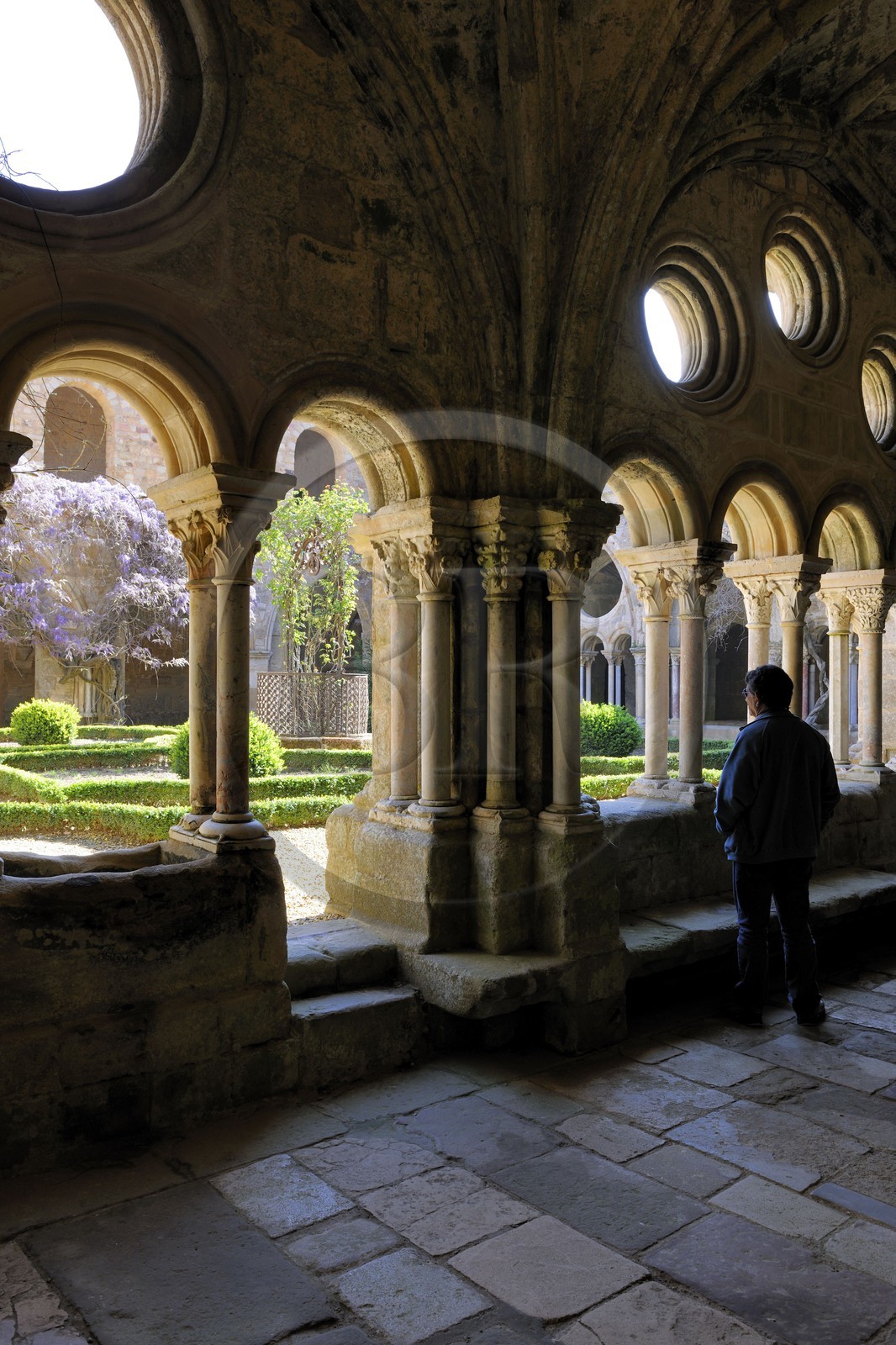 France, Aude (11), abbaye cistercienne de Fontfroide, le cloître