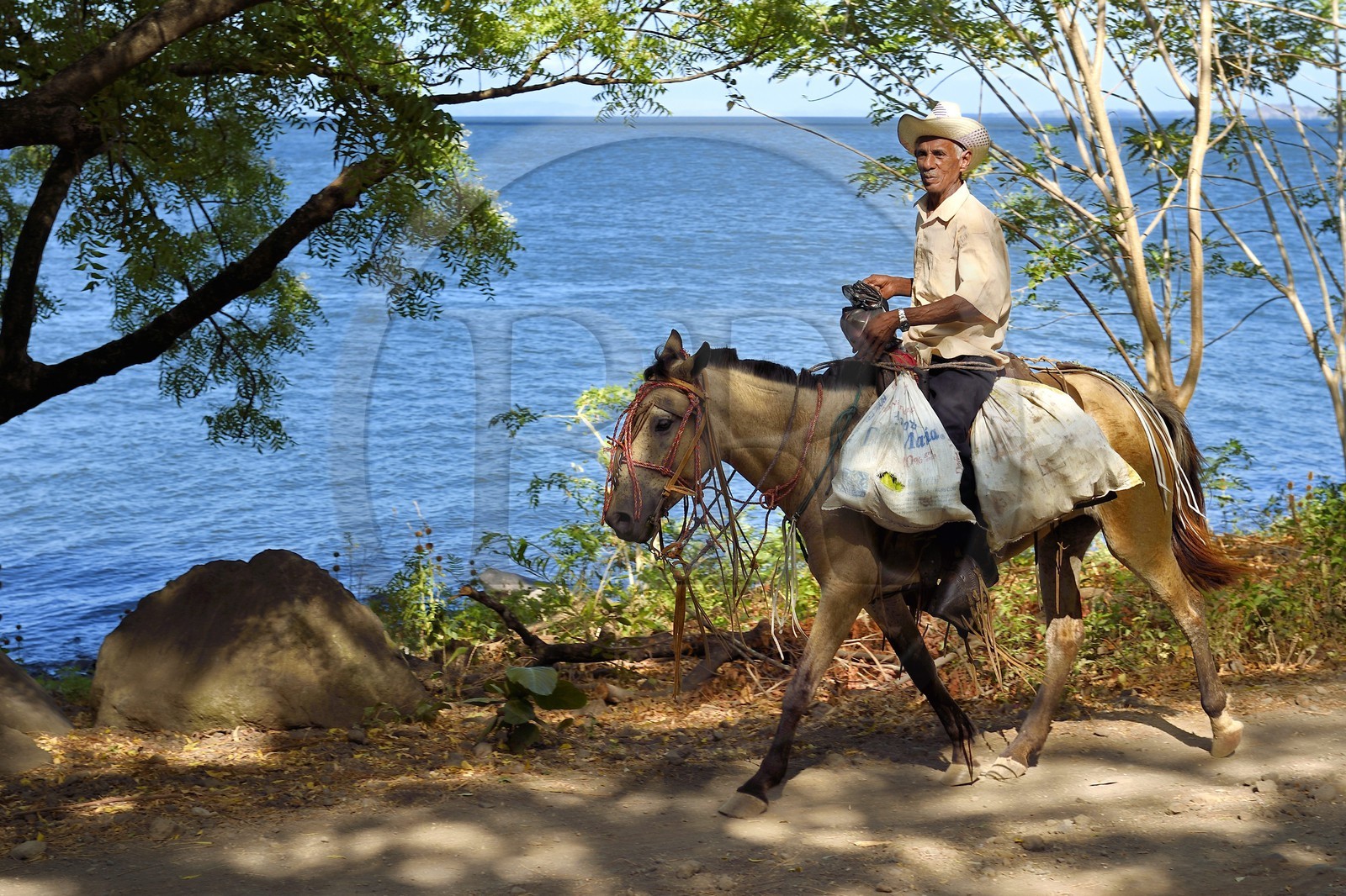 Nicaragua, Ile d'Ometepe sur le lac Nicaragua, cavalier en bordure du lac Nicaragua, Ile d'Ometepe sur le lac Nicaragua, cavalier en bordure du lac