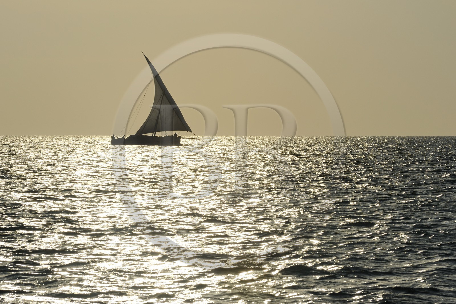 Tanzanie, archipel de Zanzibar, île de Unguja (Zanzibar), côte ouest, un dhow (boutre traditionnel)