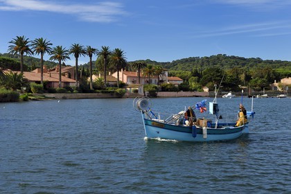 France, Var (83), Iles d'Hyères, parc national de Port Cros, Ile de Porquerolles, retour de pêche au port du village