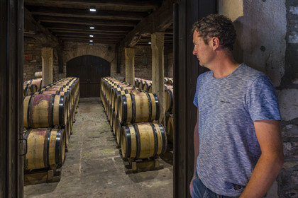 France, Cote d'Or, cultural Landscape of the climates of Burgundy listed as World Heritage by UNESCO, Route des Grands Crus (road of Vintage Wines), vineyard of the Côte de Nuits, Gevrey Chambertin, Domaine Dugat, Bertrand Dugat in the former Tithe Cellar of the Bishops of Langres where he stores his empty barrels or just after the harvest