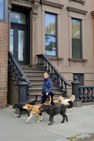 Etats-Unis, New York, Brooklyn, promeneur professionnel de chiens