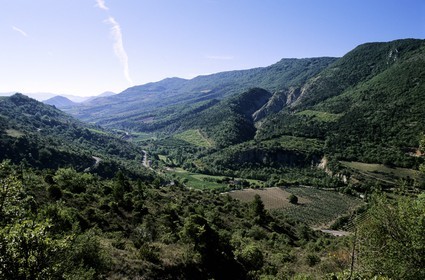 France, Drome, Ouveze valley and Gravas mountain