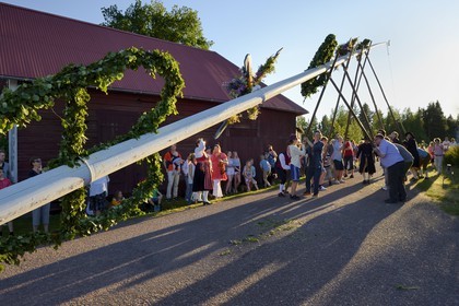 Sweden, Dalarna County, Leksand area, Midsummer celebrations in the tiny hamlet of Hjulbäck, uprising the maypole