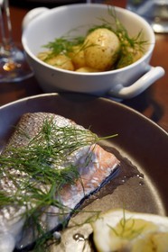 Sweden, Stockholm, Oaxen Krog & Slip restaurant, fresh salmon