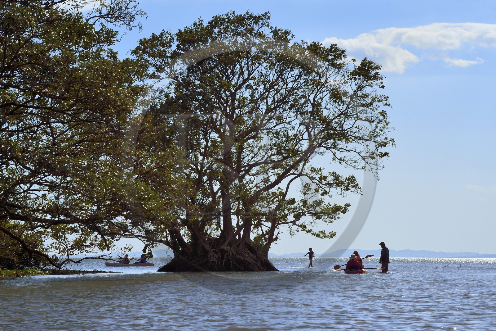 Nicaragua, Ile d'Ometepe sur le lac Nicaragua, embouchure du Rio Istian sur le lac