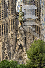 Espagne, Catalogne, Barcelone, quartier de l'Eixample, basilique de la Sagrada Familia de l'architecte du modernisme catalan Antoni Gaudi classée Patrimoine Mondial de l'UNESCO, façade de la Nativité et le cyprès symbolisant l'Arbre de la Vie
