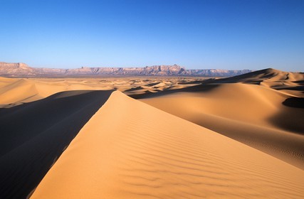 Libya, region of the desert, the Fezzan (Sahara), Tadrart Akacus, ochre dunes and high ledge of sandstone in the northeast of Ghat