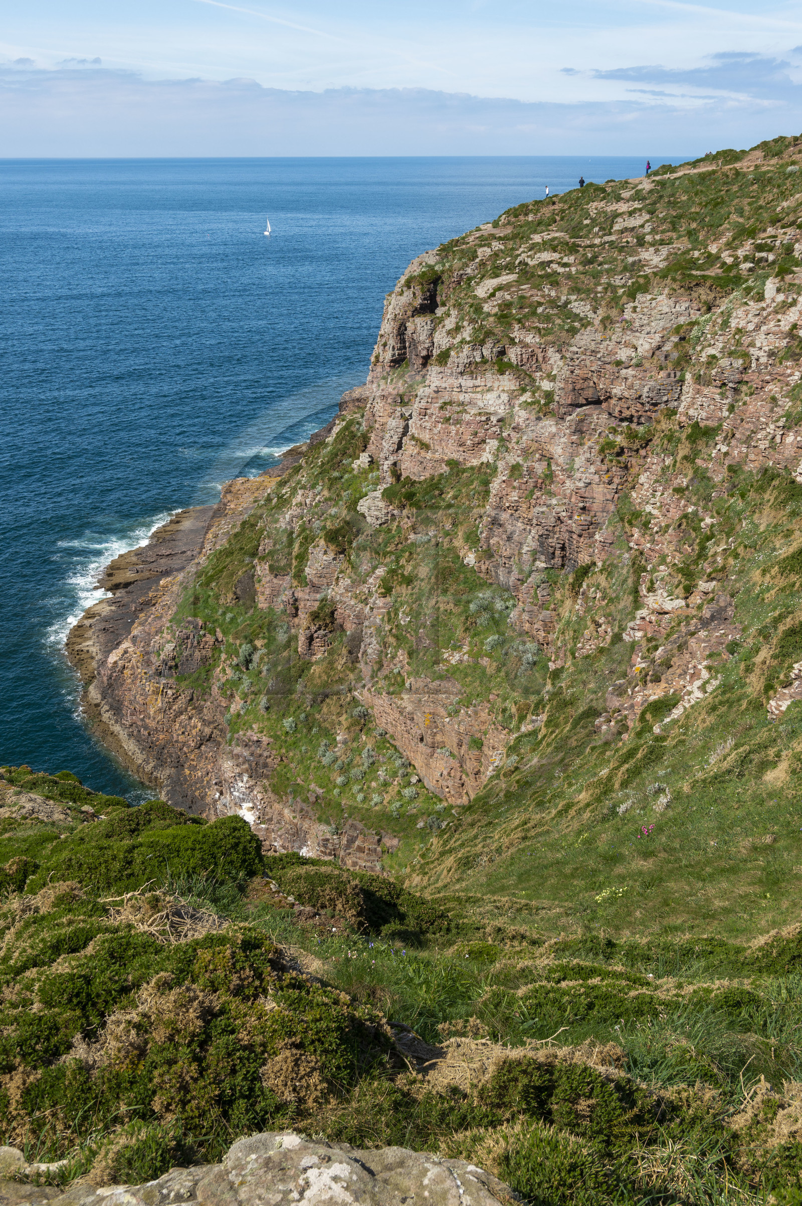 France, Ille-et-Vilaine (35), Côte d'Emeraude, Plévenon, le Cap Fréhel classé Natura 2000