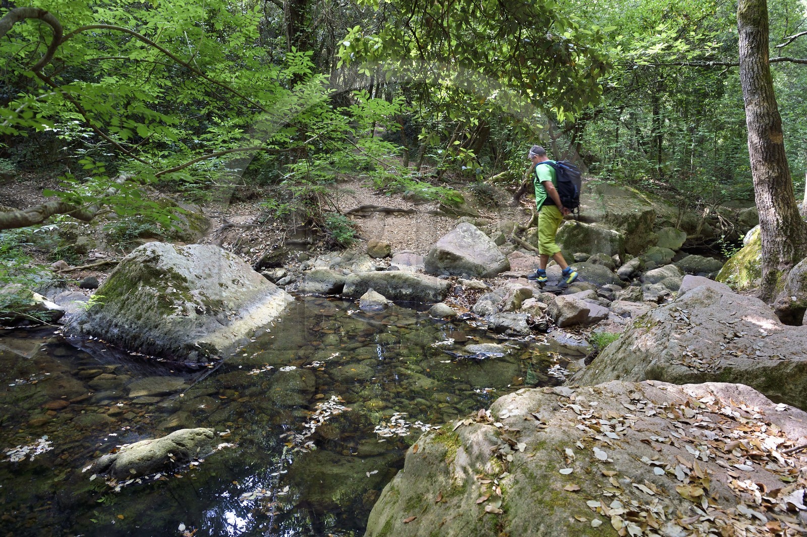 France, Var, between Bagnols en Foret and Roquebrune sur Argens, hike in the Gorges du Blavet, crossing the Blavet river