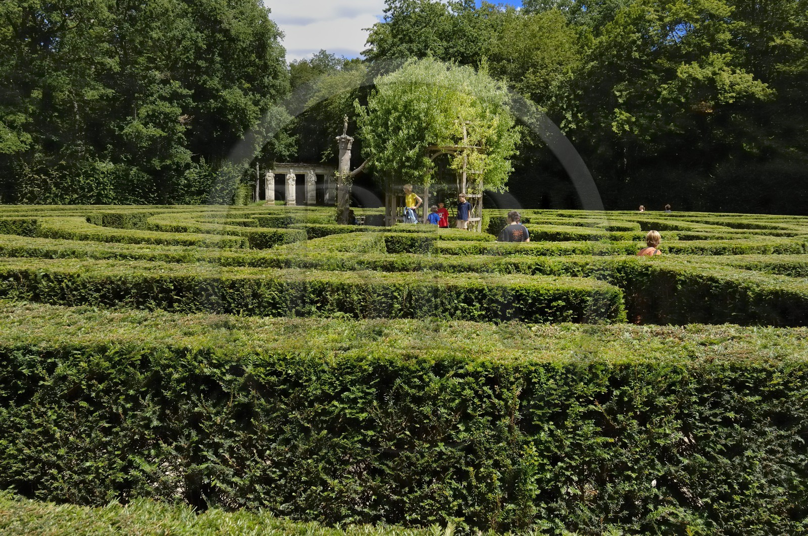 France, Indre et Loire, Chateau de Chenonceau of Renaissance style built between 1513 and 1522, the labyrinth in the park France, Indre et Loire, Chateau de Chenonceau of Renaissance style built between 1513 and 1522, the labyrinth in the park