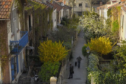 France, Paris, La Campagne a Paris, the Mouzaia District, houses with gardens in the heart of the city