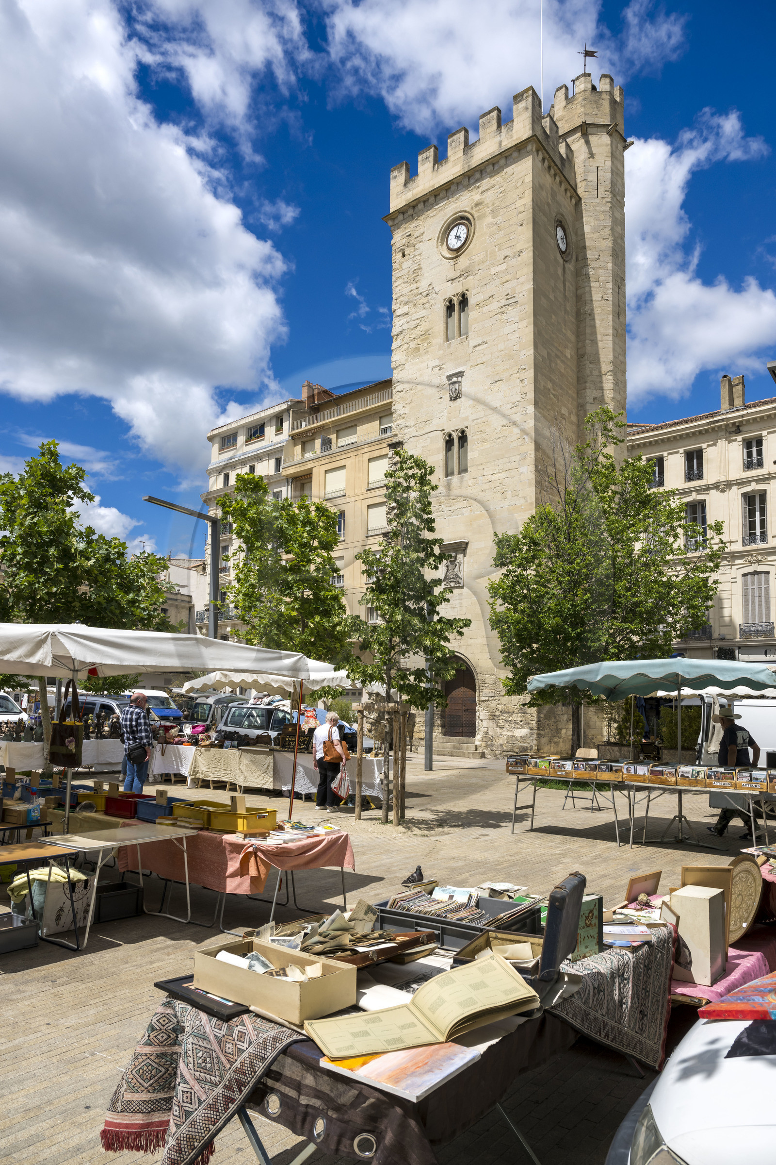 France, Vaucluse (84), Avignon, place Pie, la tour Saint-Jean-le-Vieux