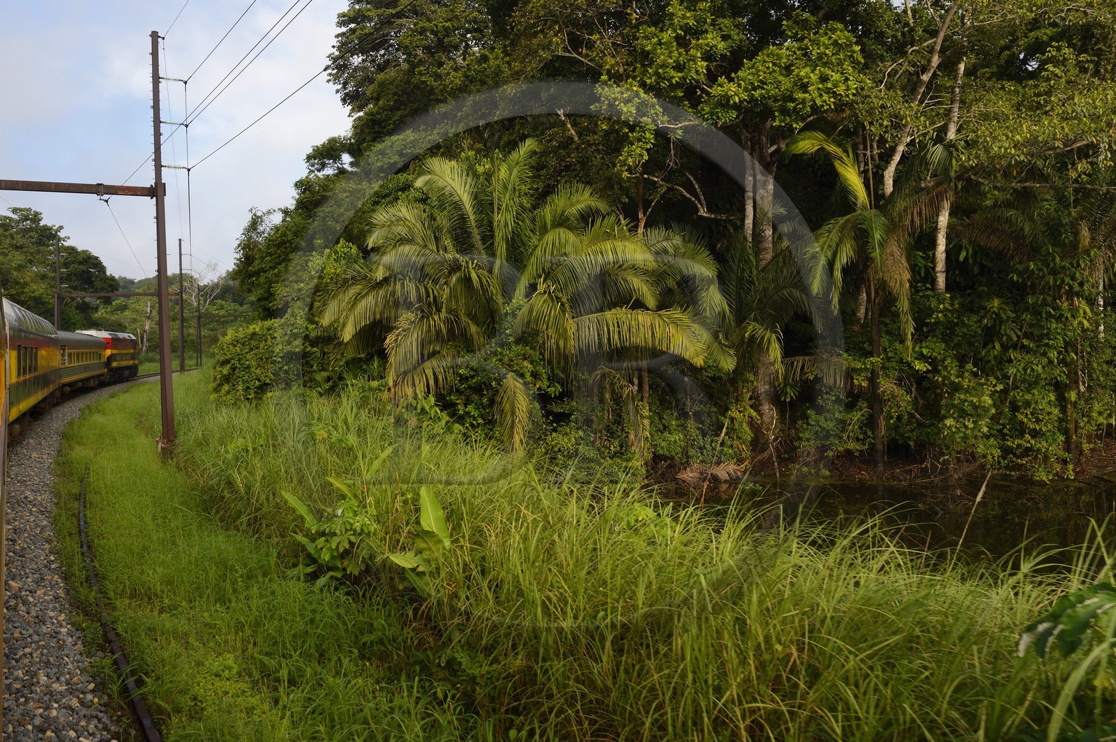 Panama, Panama Canal Railway, ligne de train historique qui relie la ville de Panama et Colon en longeant le canal de Panama et traversant l'isthme
