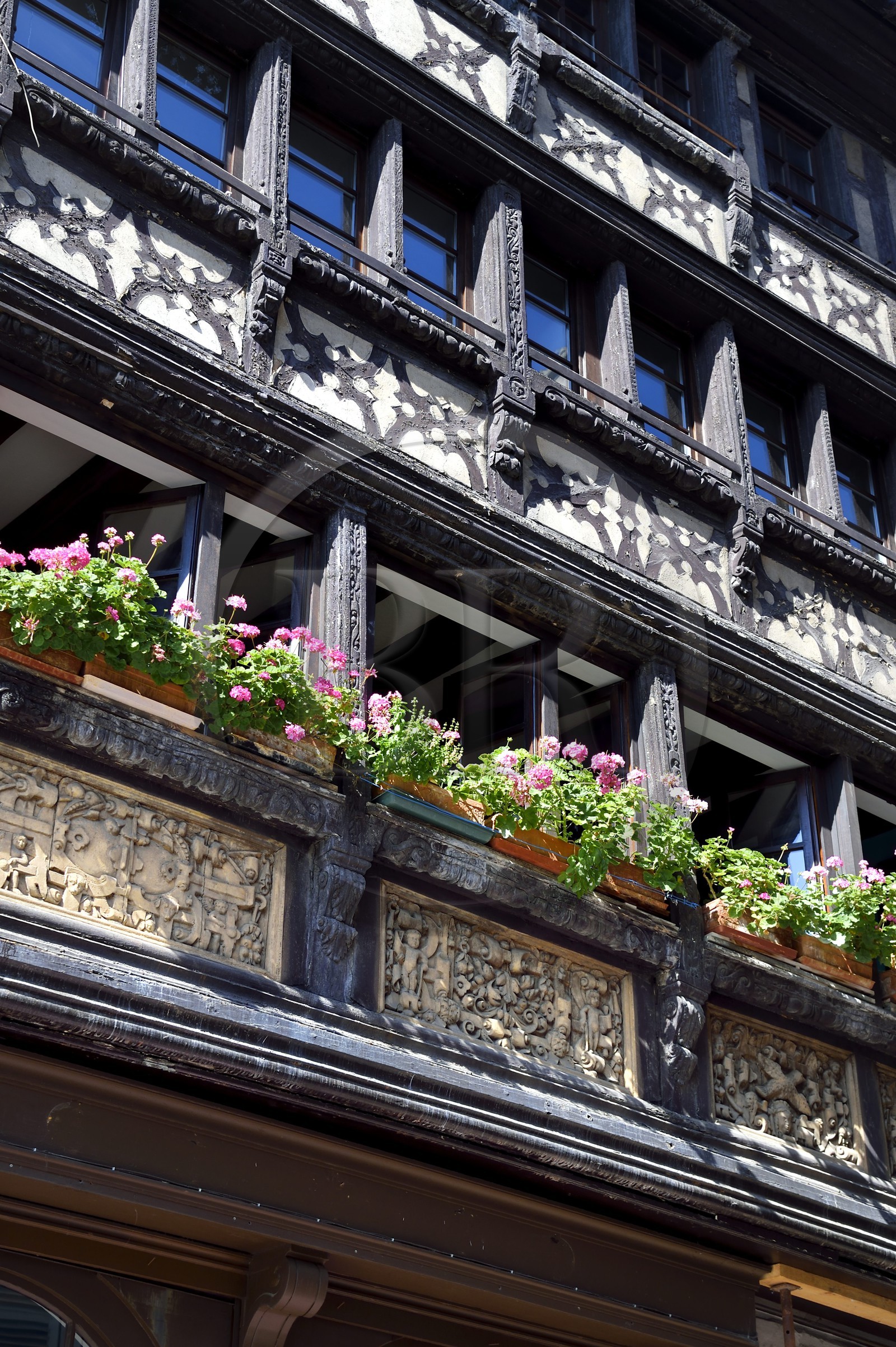 France, Bas-Rhin (67), Strasbourg, vieille ville classée Patrimoine Mondial de l'UNESCO, maison traditionnelle à pans de bois au 23 rue des Tonneliers, restaurant Le Pigeon