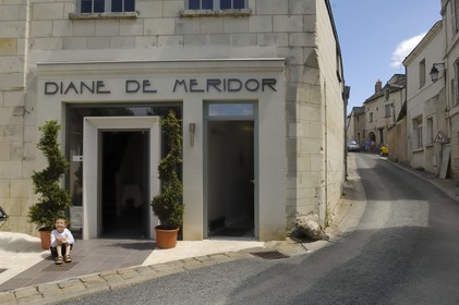France, Maine et Loire, Montsoreau, restaurant Diane de Méridor