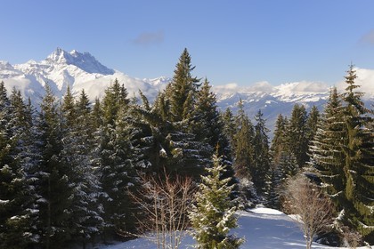 Switzerland, Canton of Vaud, Villars sur Ollon