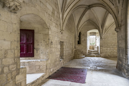 France, Bouches-du-Rhône (13), Tarascon, le chateau du roi René datant du XVe siècle,