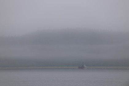 Canada, province du Québec, Saint Laurent, Côte Nord, la côte à Havre-Saint-Pierre dans le brouillard