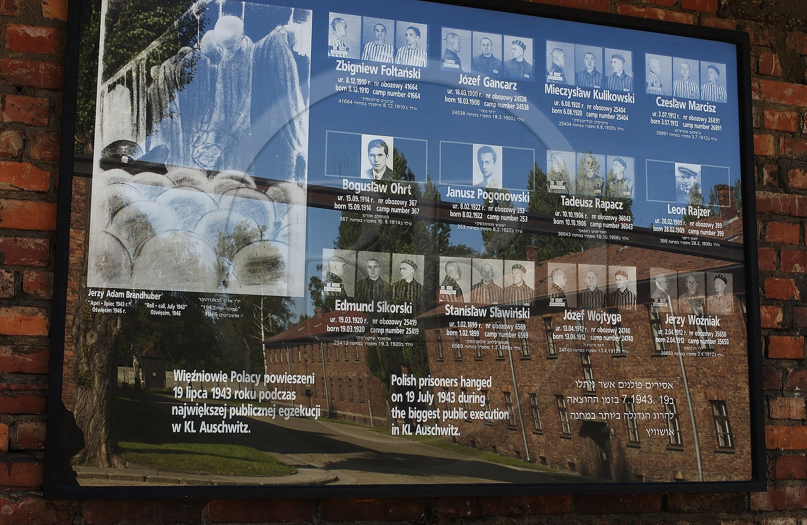 Pologne, région de la Petite-Pologne, environs de Cracovie, village d' Oswiecim, Camp allemand nazi de concentration et d'extermination d'Auschwitz( 1940-1945), classé Patrimoine Mondial de l'UNESCO, victimes présentées sur la place d' Appel et de pendaison