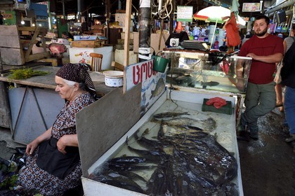 Georgia, Kakheti, Telavi, the covered market, live fish sale