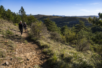 France, Herault, the Causses and the Cevennes, Mediterranean agro pastoral cultural landscape, listed as World Heritage by UNESCO, La Vacquerie et Saint Martin de Castries,