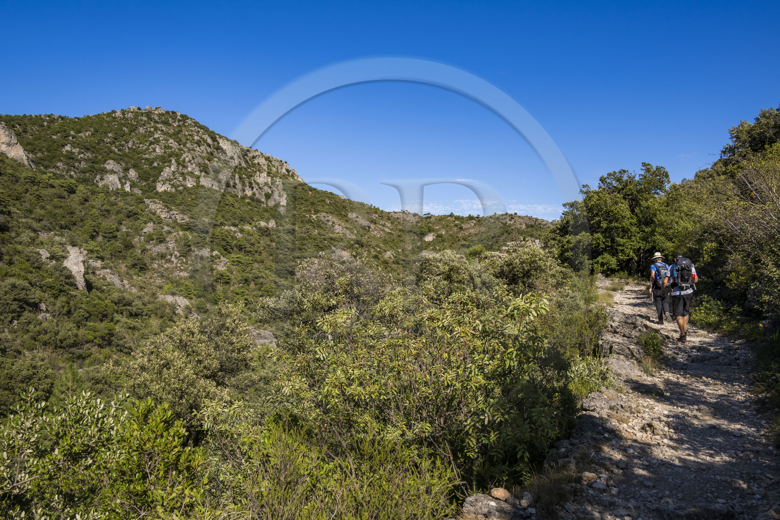 France, Hérault (34), Causses et les Cévennes, paysage culturel de l'agro-pastoralisme méditerranéen, classés Patrimoine Mondial de l'UNESCO, Saint-Guilhem-le-Désert, labellisé Les Plus Beaux Villages de France, randonneurs sur la Via Tolosana sur le Chemin de Saint-Jacques-de-Compostelle dans la vallée du Verdus
