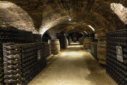 France, Cote d'Or, Climats terroirs of Burgundy listed as World Heritage by UNESCO, Beaune, the cellars of Maison Patriarche, a wine merchant-breeder company