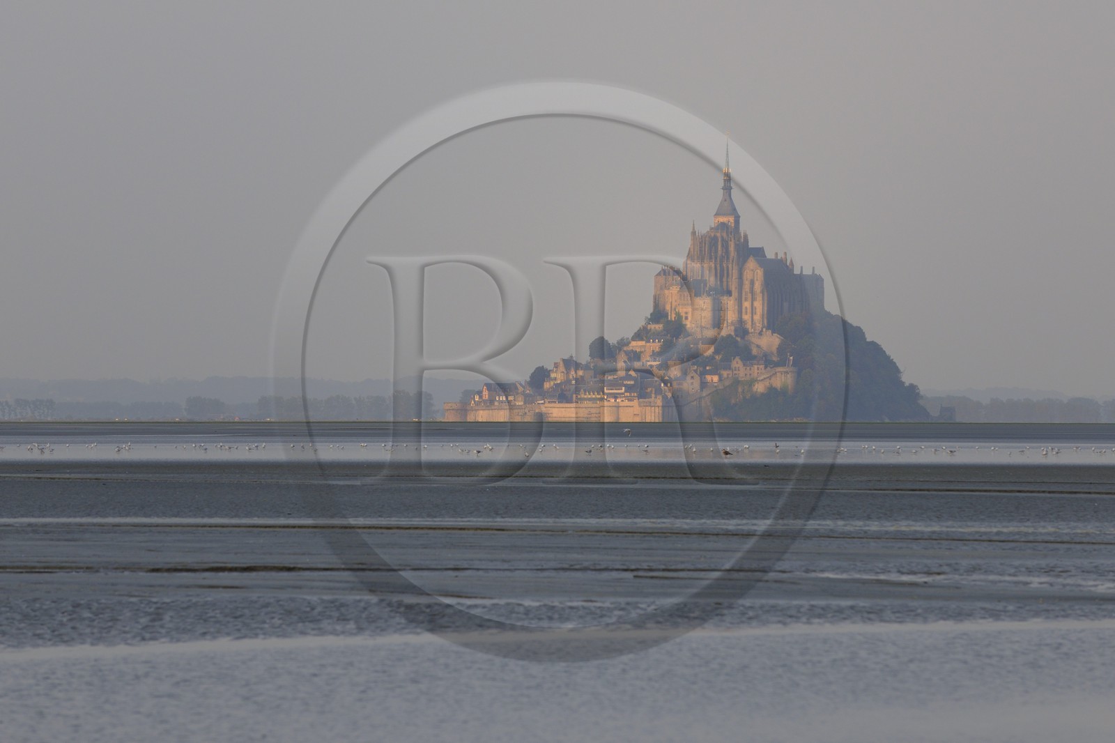 France, Manche (50), le Mont à l'aube depuis la Baie du Mont-Saint-Michel