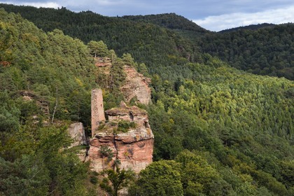 France, Bas-Rhin (67), Parc naturel régional des Vosges du Nord, Obersteinbach, foret domaniale de Steinbach, les ruines du chateau du Petit-Arnsberg perché sur un rocher de grès