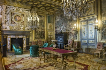 France, Seine-et-Marne, Fontainebleau, castle of Fontainebleau listed as World Heritage by UNESCO, Francois Ier salon