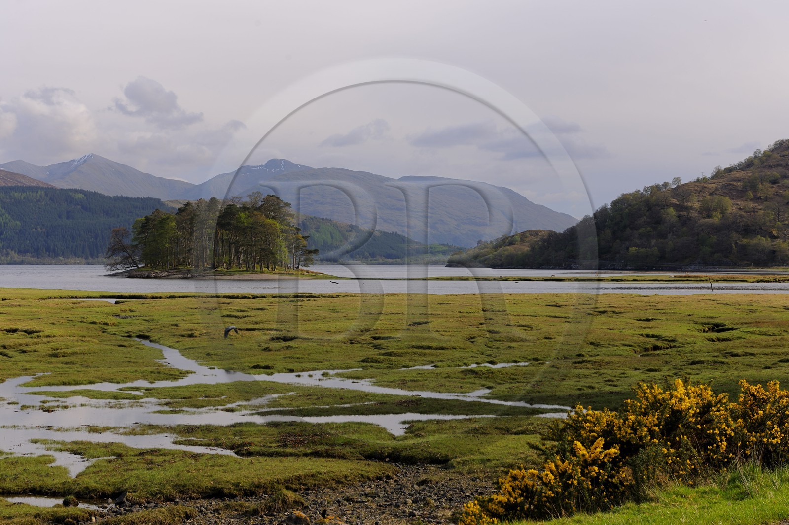 Royaume-Uni, Ecosse, région des Highlands, le Loch Linnhe vers Fort William