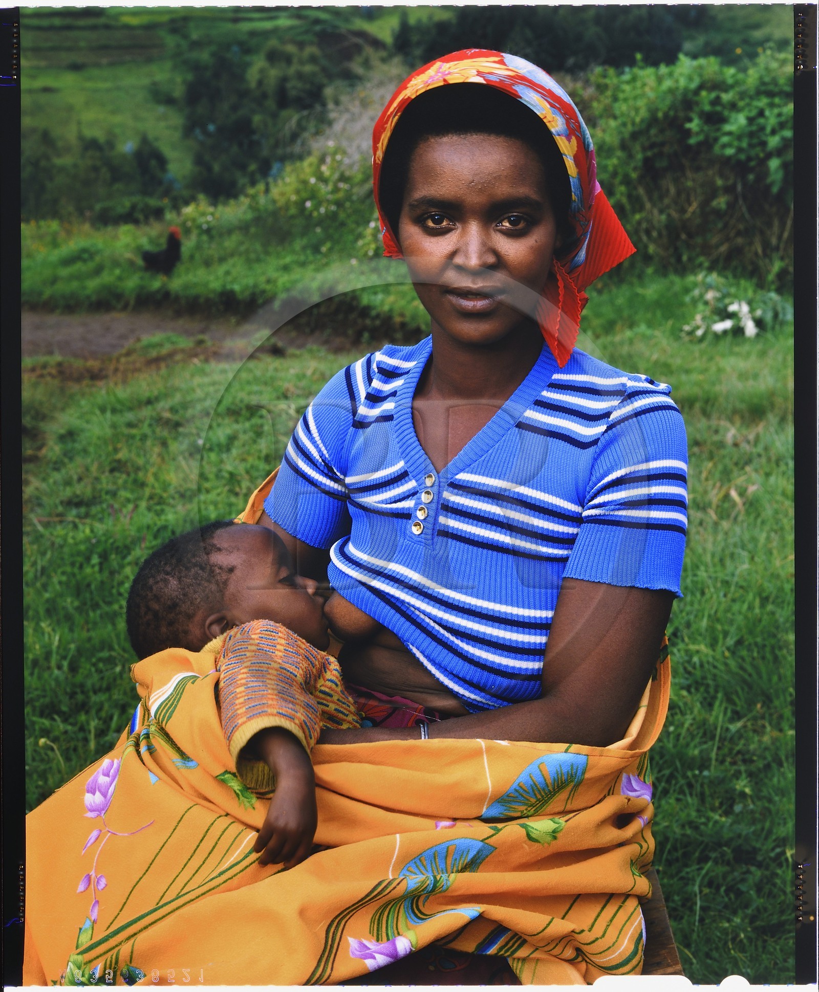 Burundi, province de Bujumbura, région d'Ijenda, femme Tutsi allaitant son bébé (reproduction plan-film inversible 4x5)