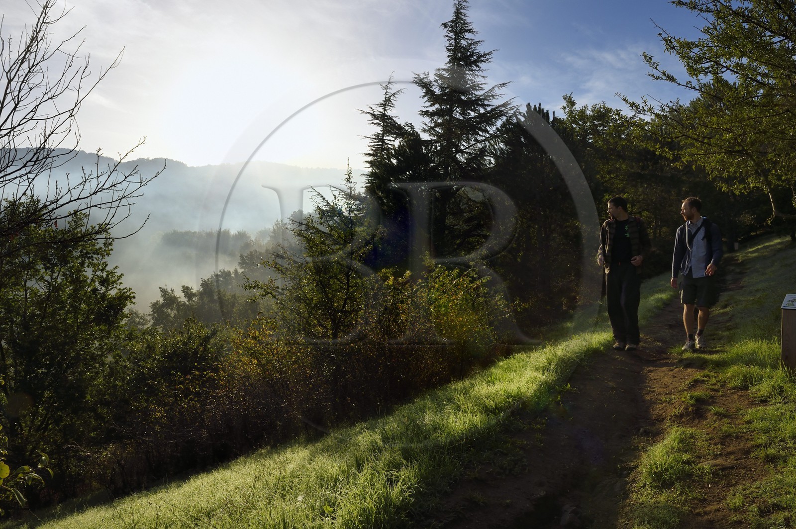 France, Var, Massif des Maures, Collobrières, the botanical trail above the village in the early morning