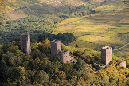 France, Haut-Rhin (68), les trois donjons d'Eguisheim dans le massif des Vosges (photo aérienne)