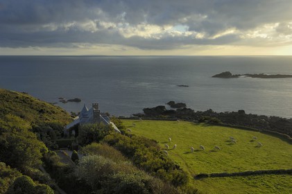 France, Manche (50), Cap de la Hague, le petit port de Goury, vaches dans les prés