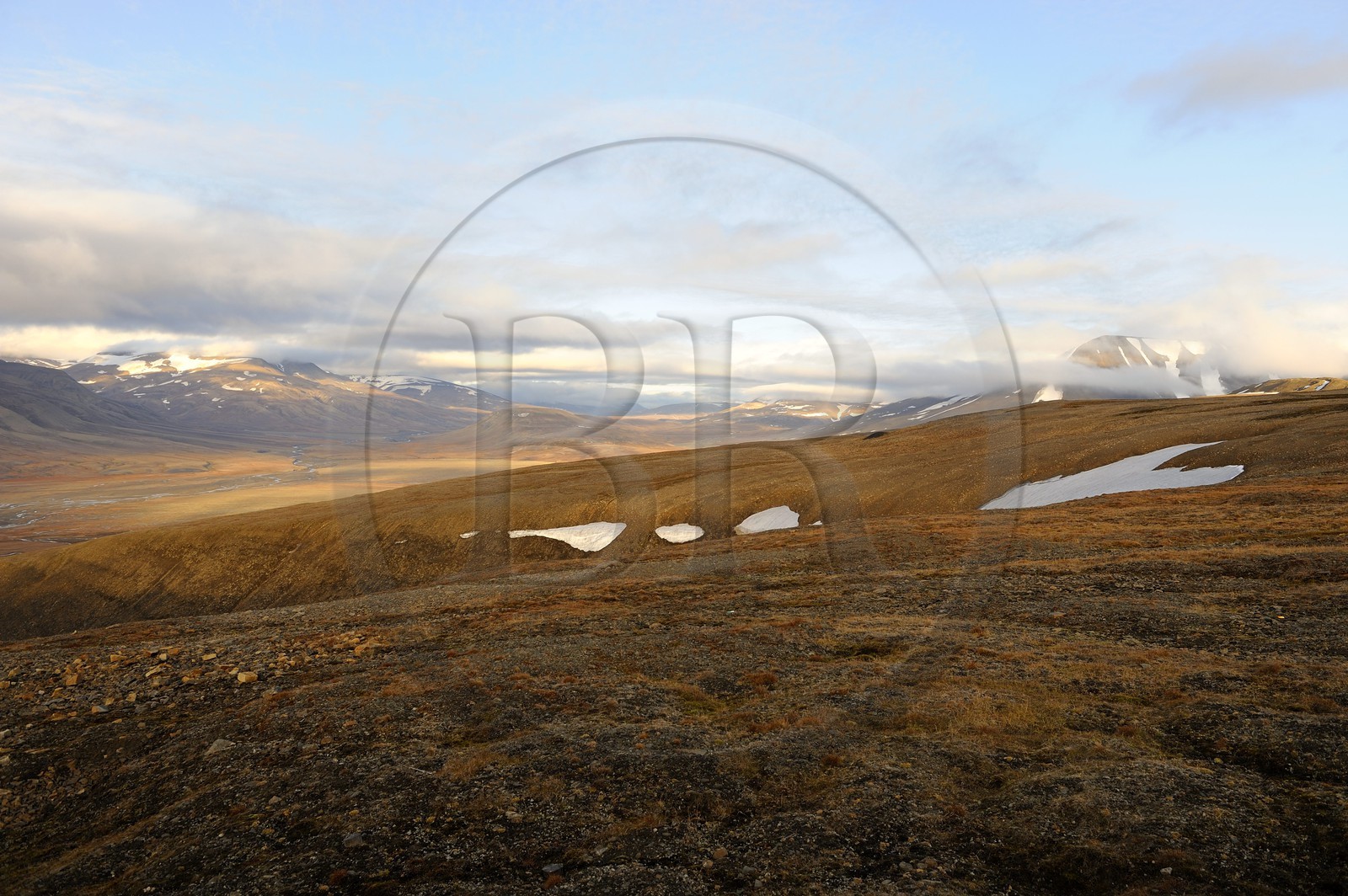 Norvège, Svalbard (Spitzberg), toundra dans la région de Longyearbyen
