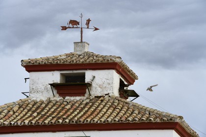 Spain, Andalusia, Seville Province, Utrera, the property El Toruno, breeding of fighting bulls