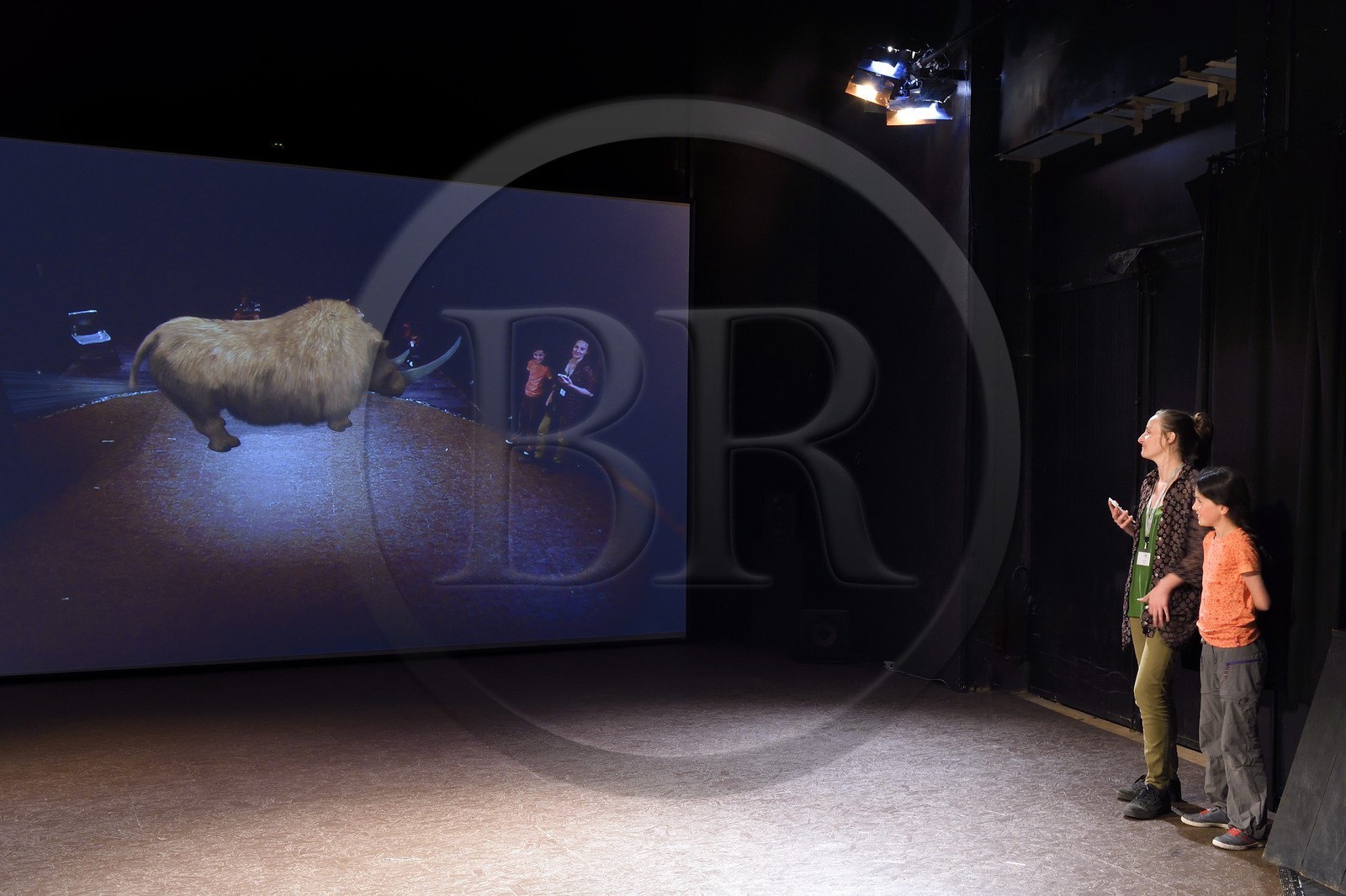 France, Dordogne (24), Perigord Noir, vallée de la Vézère, Thonac, Le Thot, espace Cro-Magnon, le miroir temporel, animation de réalité augmentée, les visiteurs se retrouvent face à des animaux disparus tels qu'un rhinocéros laineux France, Dordogne (24), Perigord Noir, vallée de la Vézère, Thonac, Le Thot, espace Cro-Magnon, le miroir temporel, animation de réalité augmentée, les visiteurs se retrouvent face à des animaux disparus tels qu'un rhinocéros laineux