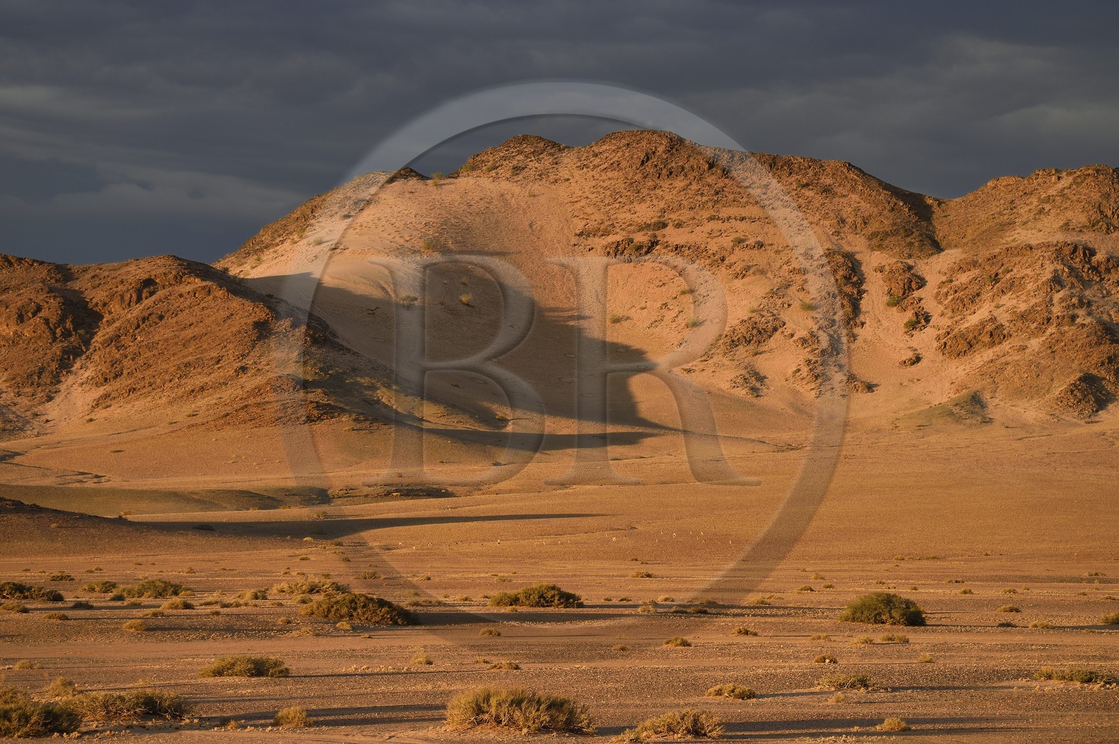 Namibie, région de Hardap, désert du Namib à l'Est du parc national Namib Naukluft vers Sossusvlei
